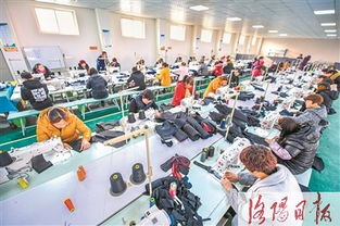 扶貧車間進鄉村 就業致富有奔頭