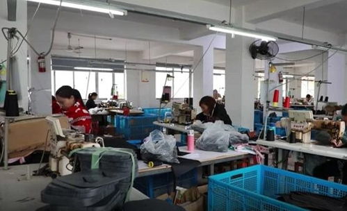 浙江 多措并舉 帶動低收入農戶收入大幅增長